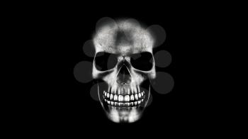 Human Skull On Black Background 3D Rendering. Halloween Concept