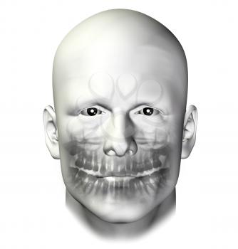 Teeth dental scan x-ray of adult male. 3d illustration on white background.