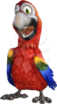 Parrot Clipart