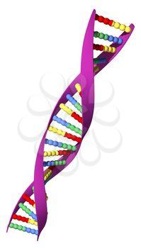 DNA Clipart