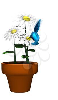 Potted Clipart