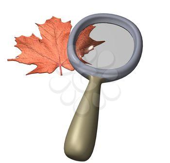 Inspecting Clipart