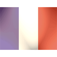 French flag qx