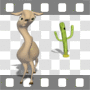 Desert llama