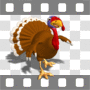 Thanksgiving turkey waddling