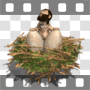 Caveman in big nest