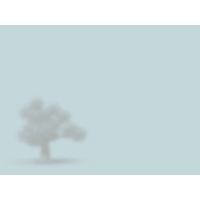 Tree PowerPoint Background