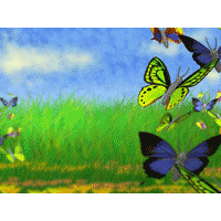 Butterflies PowerPoint Background