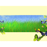 Butterfly PowerPoint Background