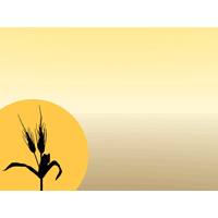 Wheat PowerPoint Background