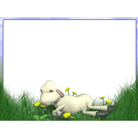 Lamb PowerPoint Background