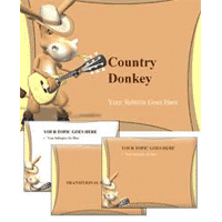 Country donkey
