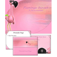 Pink PowerPoint Template