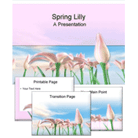 Spring lily presentation