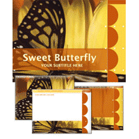 Sweet butterfly presentation