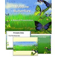 Butterflies PowerPoint Template