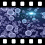 Molecules Video