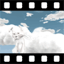 Cloud Video