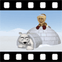 Polar Video