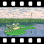 Swamp Video