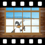 Window Video
