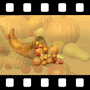 Pumpkin Video