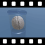 Brain Video