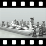 Chess Video