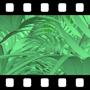 Leaf Video