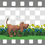 Bloodhound walking