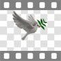 Dove flying with olive branch