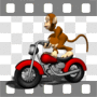 Monkey driving motorcycle