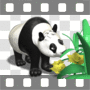 Panda bear sniffing daffodils
