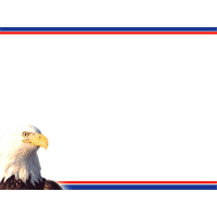 American eagle prt