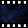 Blue tentacles video background