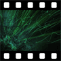 Green tentacles video background
