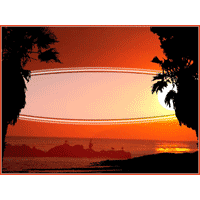 Silhouette of palm trees backdrop