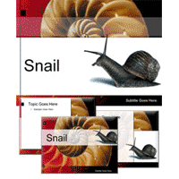 Powerpoint template with snail