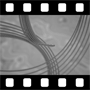 Video background of neurostrands