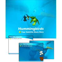 Hummingbirds PowerPoint template