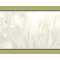 Prairie grass trs