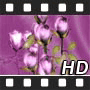Purple flowers rotating