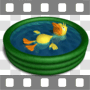Duck floating in kiddy pool