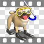 Pug dog with snorkel and mask and swim fins
