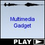 Multimedia Gadget