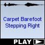 Carpet Barefoot Stepping Right