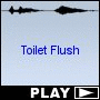 Toilet Flush