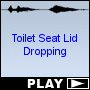 Toilet Seat Lid Dropping