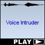 Voice Intruder