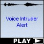 Voice Intruder Alert